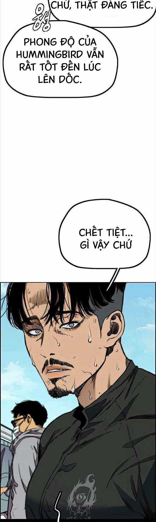 Wind Breaker - Chapter 484 - Trang 19