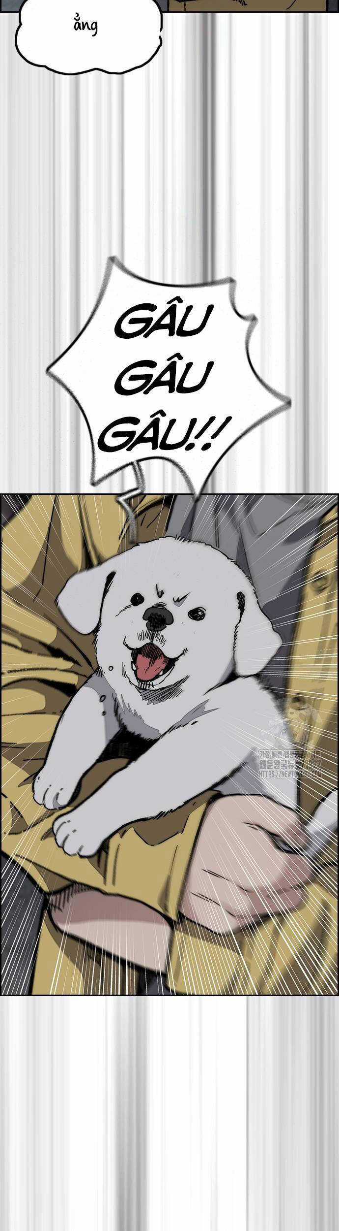 Wind Breaker - Chapter 488 - Trang 53