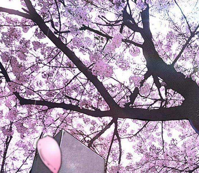 Wind Breaker - Chapter 496.5 - Trang 2