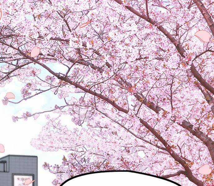 Wind Breaker - Chapter 496.5 - Trang 23