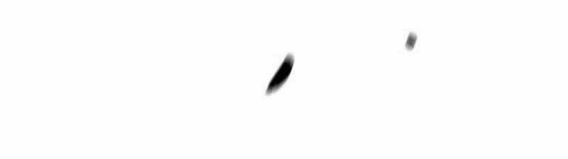 Wind Breaker - Chapter 500.5 - Trang 54