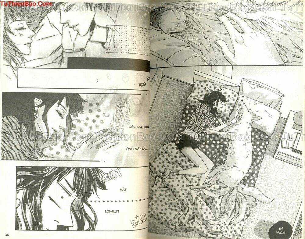 Wings Chắp Cánh - Chapter 3 - Trang 19