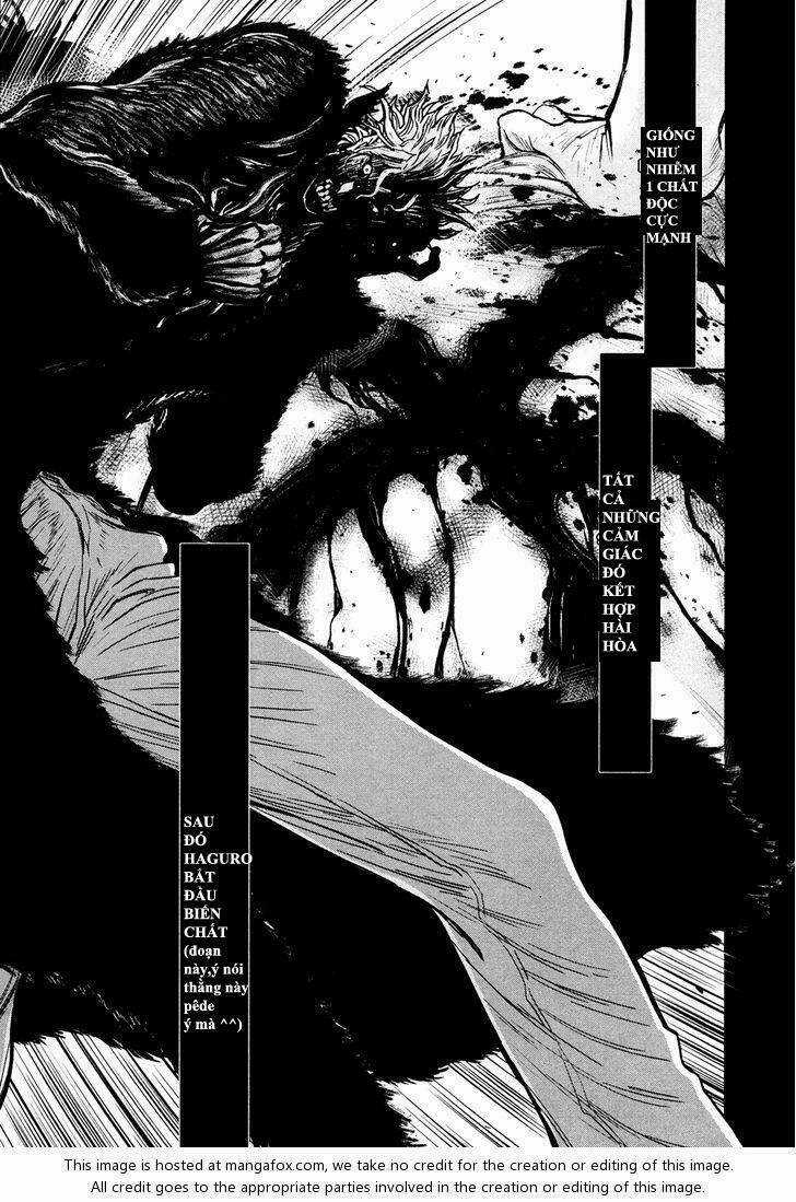 Wolf Guy - Wolfen Crest - Chapter 102 - Trang 11