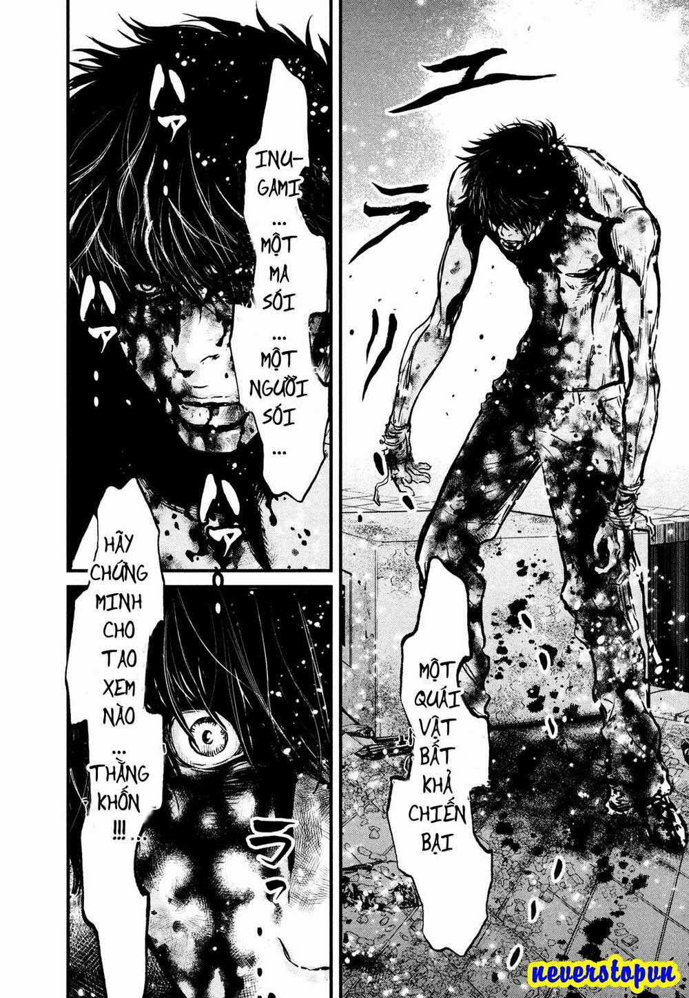 Wolf Guy - Wolfen Crest - Chapter 108 - Trang 10