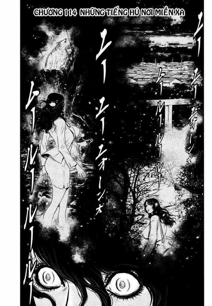 Wolf Guy - Wolfen Crest - Chapter 114 - Trang 2