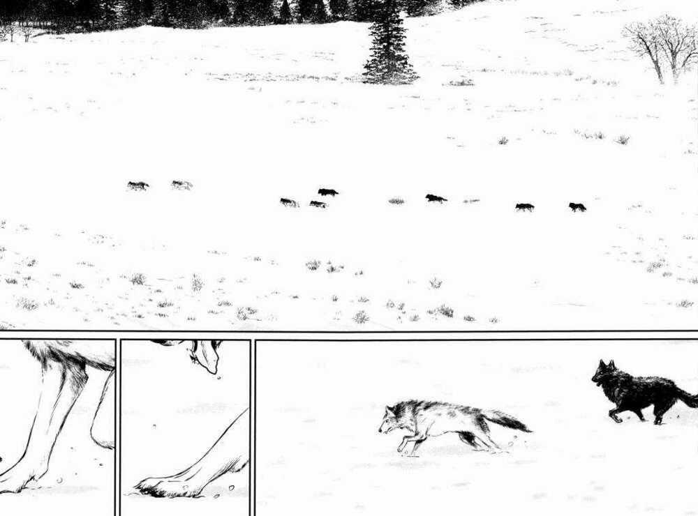 Wolf Guy - Wolfen Crest - Chapter 115 - Trang 18
