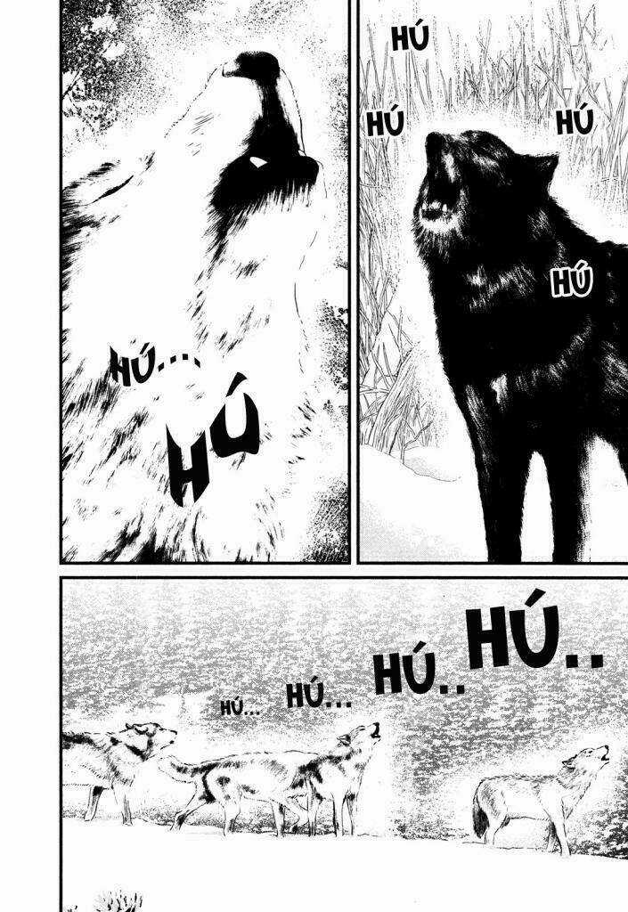 Wolf Guy - Wolfen Crest - Chapter 116 - Trang 10