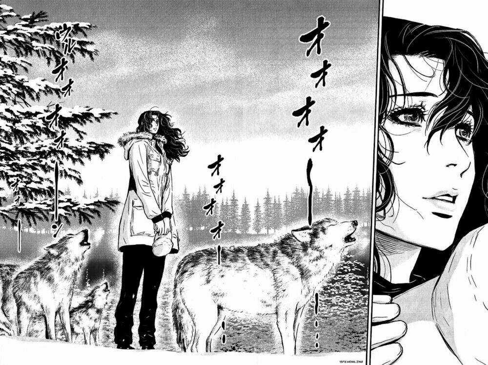 Wolf Guy - Wolfen Crest - Chapter 117 - Trang 17