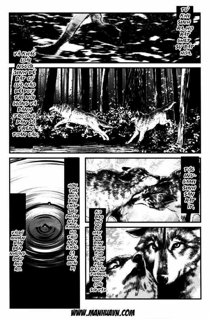 Wolf Guy - Wolfen Crest - Chapter 49 - Trang 13