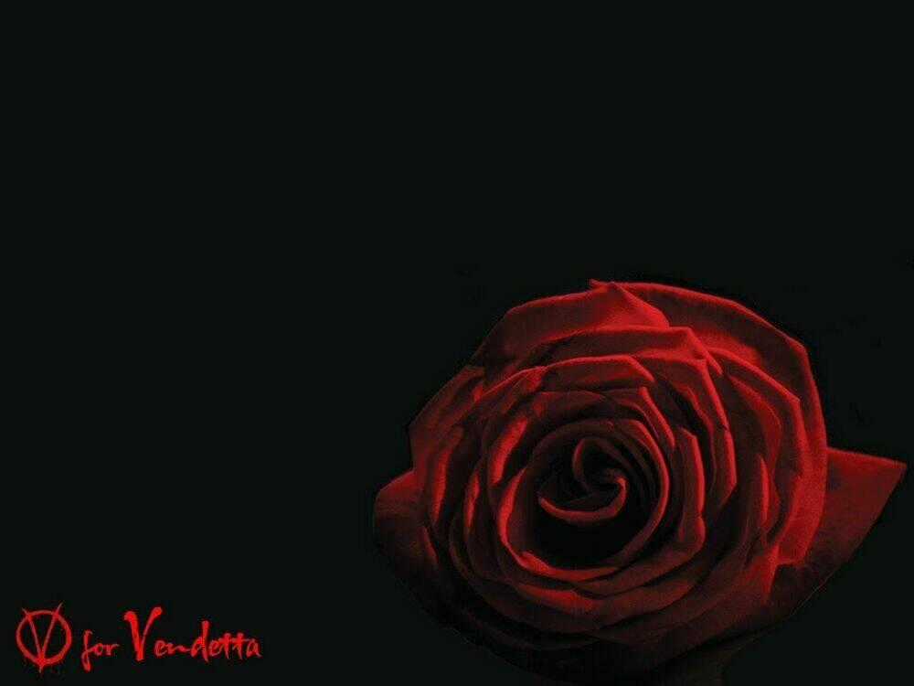 Wolf Guy - Wolfen Crest - Chapter 82 - Trang 25