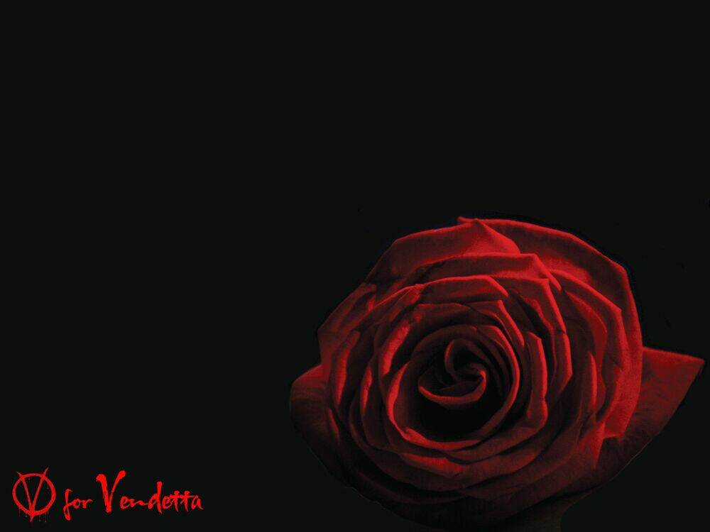 Wolf Guy - Wolfen Crest - Chapter 84 - Trang 3