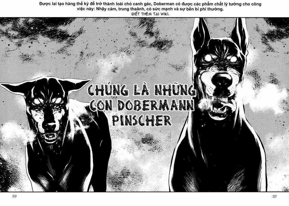 Wolf Guy - Wolfen Crest - Chapter 89 - Trang 11