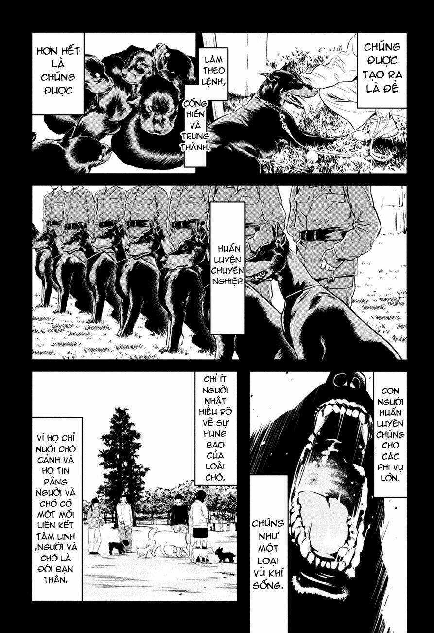 Wolf Guy - Wolfen Crest - Chapter 89 - Trang 12