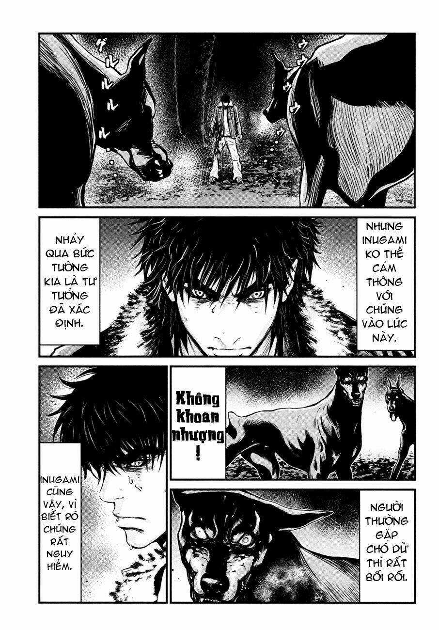 Wolf Guy - Wolfen Crest - Chapter 89 - Trang 14