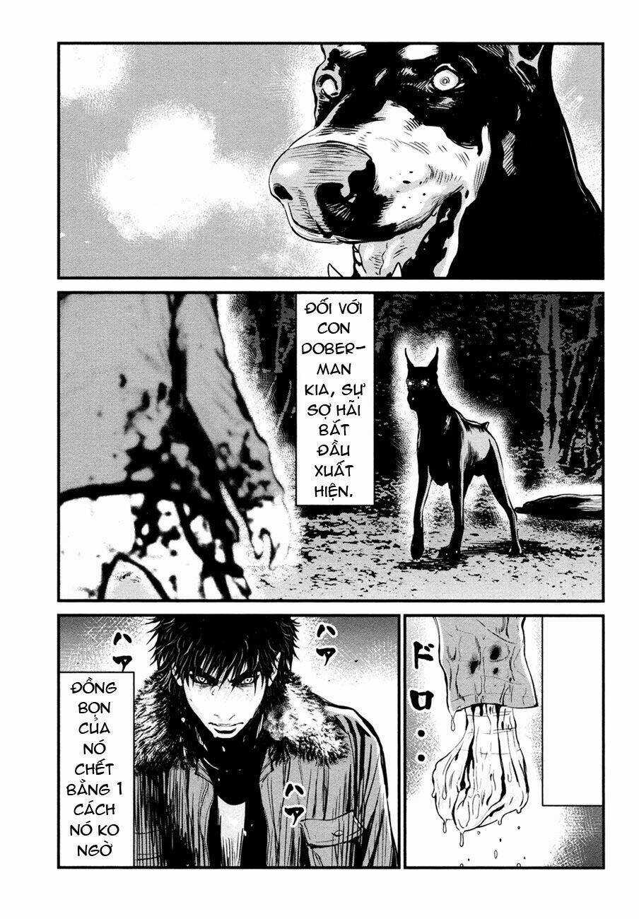 Wolf Guy - Wolfen Crest - Chapter 89 - Trang 21