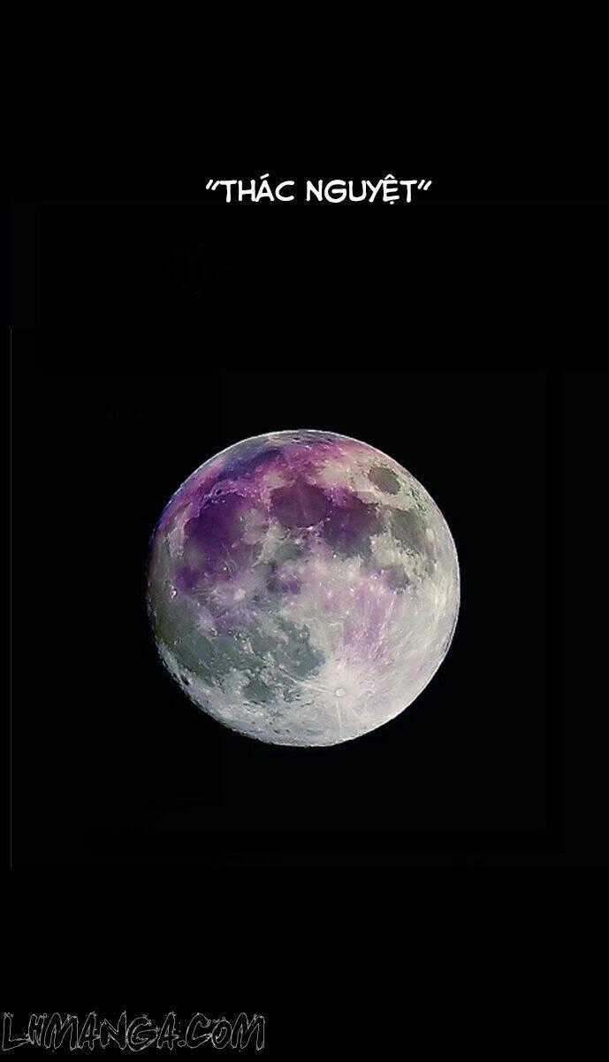 Wolf’s Castle - Chapter 8 - Trang 1