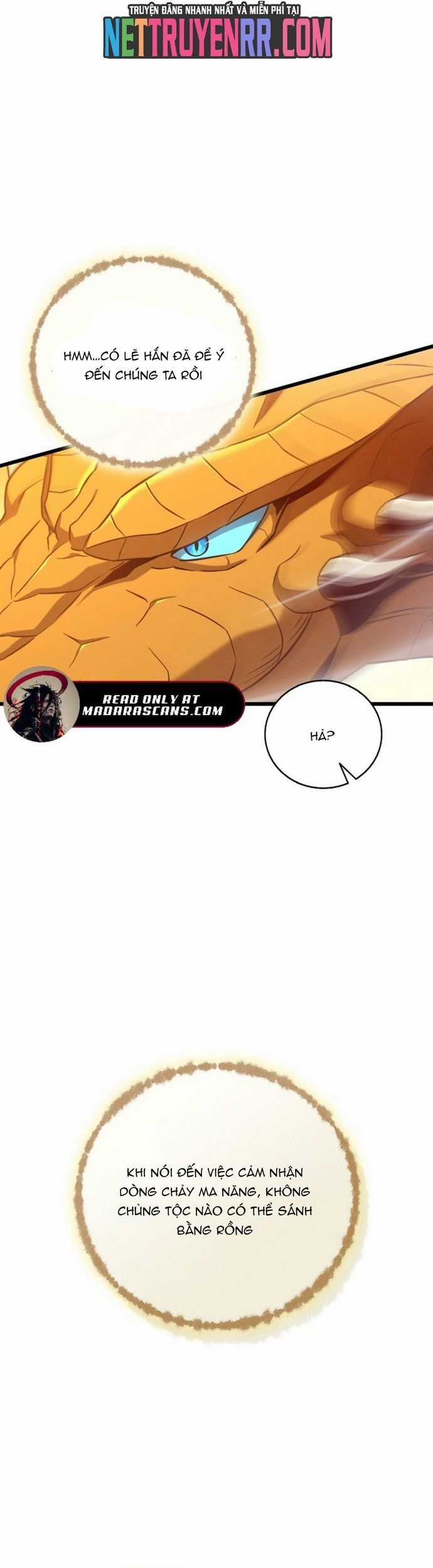 Xạ Thủ Đạn Ma - Chương 189 - Trang 3