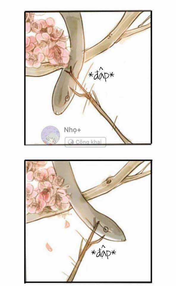 Xà Yêu Và A Bảo - Chapter 1 - Trang 5