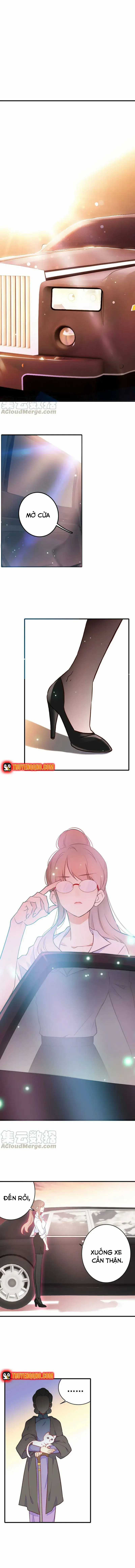 Xách Mèo Vào Ở - Chương 2 - Trang 7