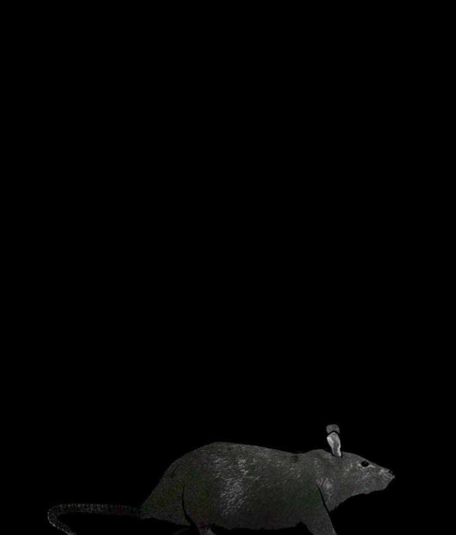 Xây Dựng Địa Ngục - Chapter 2 - Trang 99