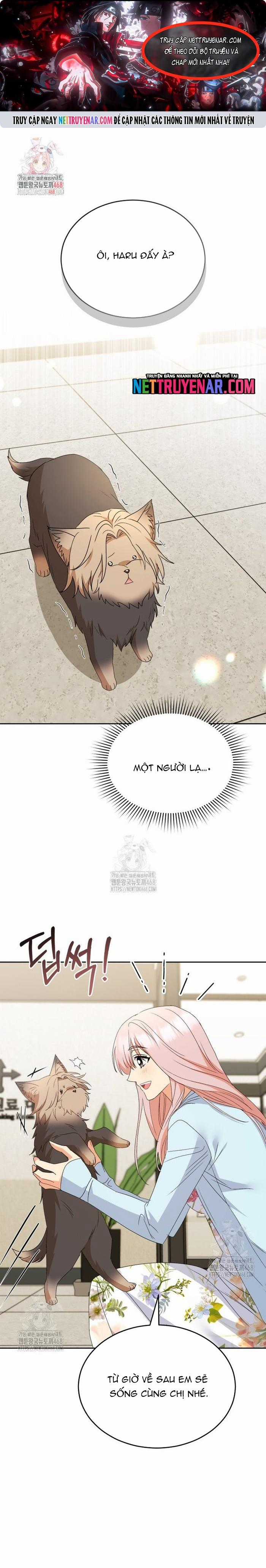 Xin Chào! Bác Sĩ Thú Y - Chapter 104 - Trang 1