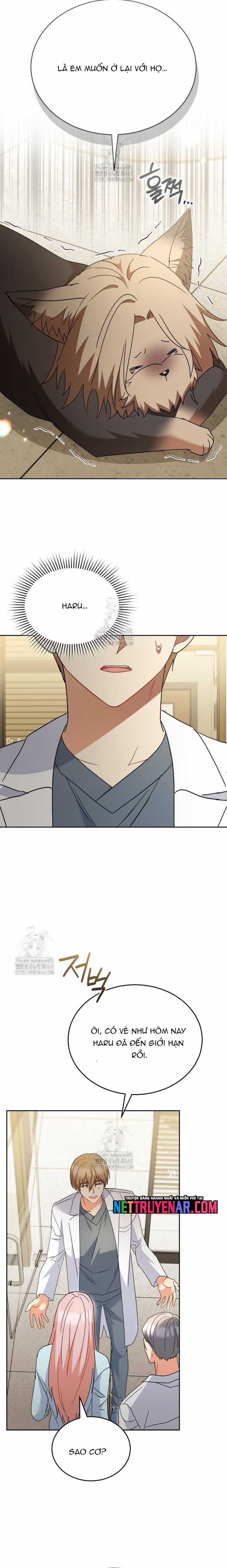Xin Chào! Bác Sĩ Thú Y - Chapter 104 - Trang 12