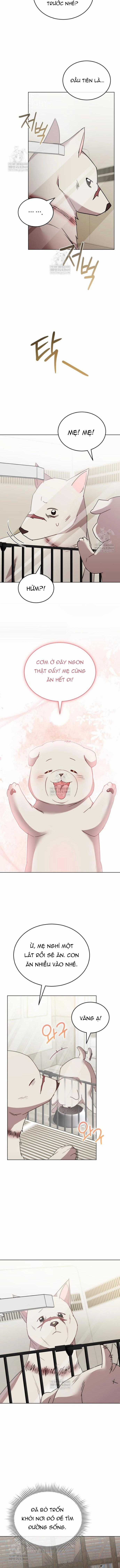 Xin Chào! Bác Sĩ Thú Y - Chapter 113 - Trang 11