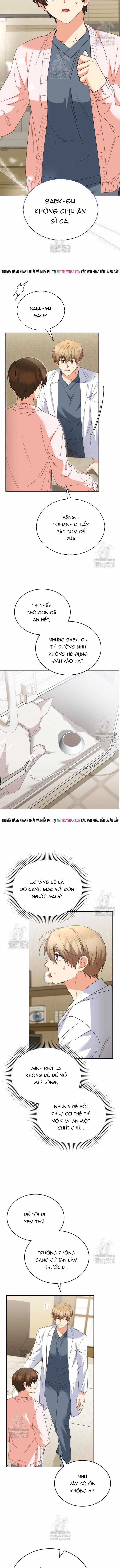 Xin Chào! Bác Sĩ Thú Y - Chapter 114 - Trang 5