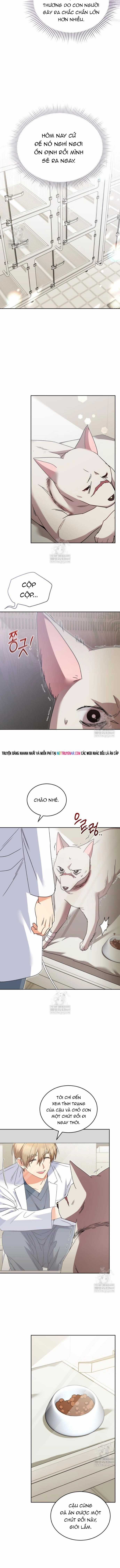 Xin Chào! Bác Sĩ Thú Y - Chapter 114 - Trang 7