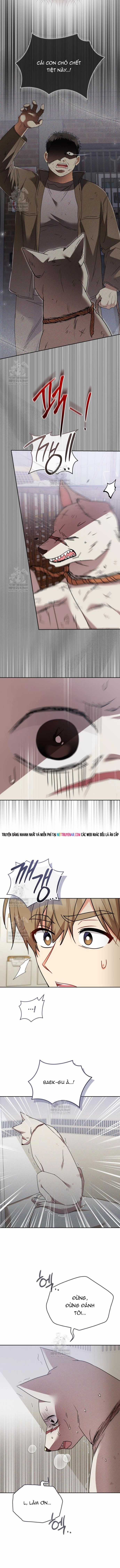 Xin Chào! Bác Sĩ Thú Y - Chapter 114 - Trang 9