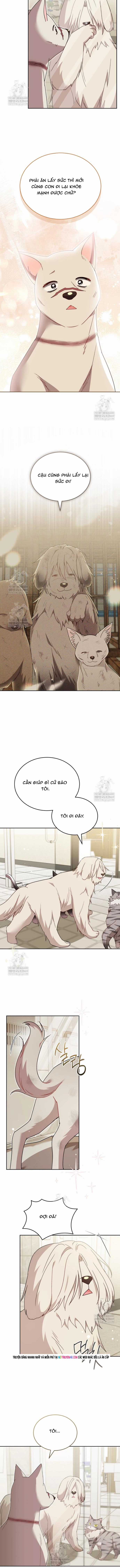 Xin Chào! Bác Sĩ Thú Y - Chapter 115 - Trang 7