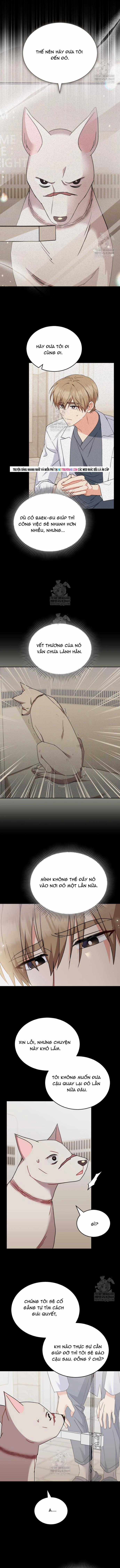 Xin Chào! Bác Sĩ Thú Y - Chapter 116 - Trang 2