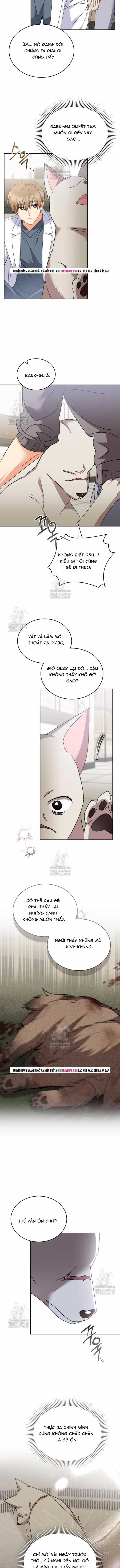 Xin Chào! Bác Sĩ Thú Y - Chapter 116 - Trang 5