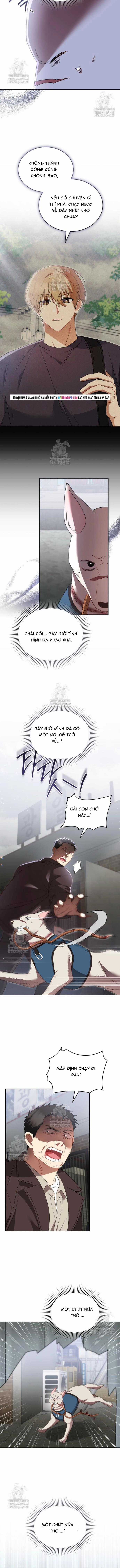 Xin Chào! Bác Sĩ Thú Y - Chapter 117 - Trang 2