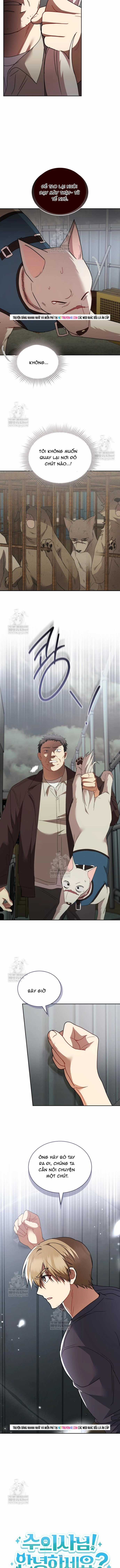 Xin Chào! Bác Sĩ Thú Y - Chapter 117 - Trang 4