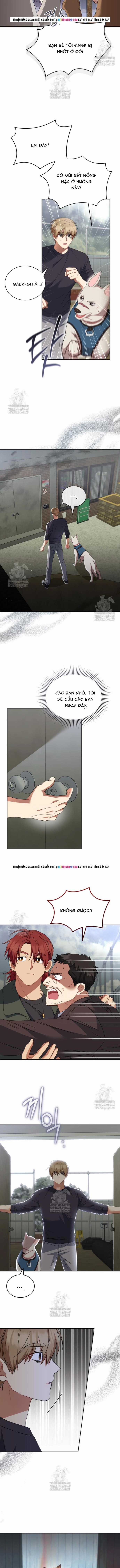 Xin Chào! Bác Sĩ Thú Y - Chapter 117 - Trang 10