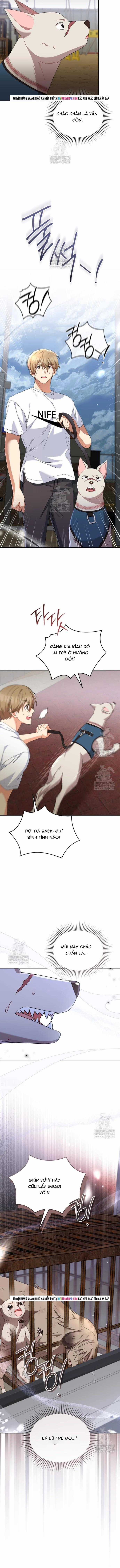 Xin Chào! Bác Sĩ Thú Y - Chapter 118 - Trang 12