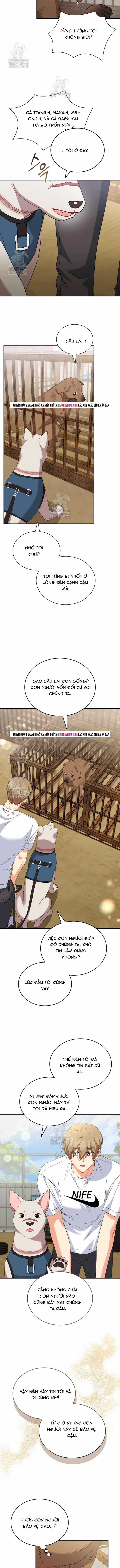 Xin Chào! Bác Sĩ Thú Y - Chapter 118 - Trang 9