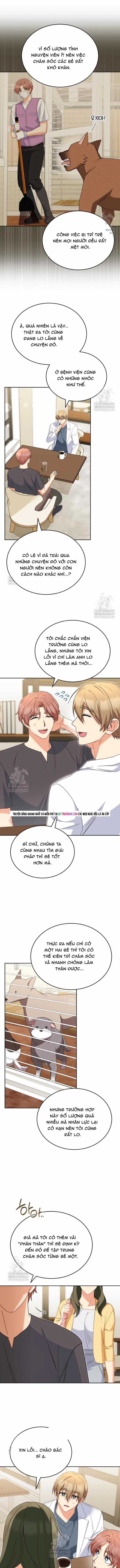 Xin Chào! Bác Sĩ Thú Y - Chapter 119 - Trang 11