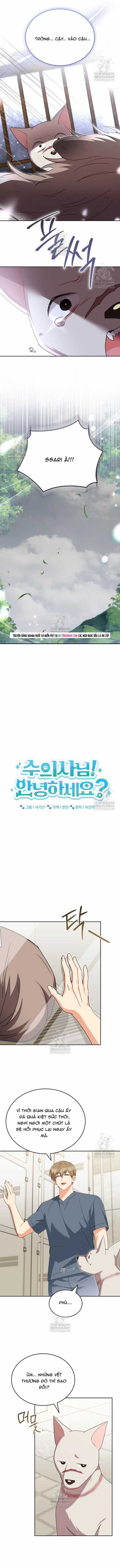 Xin Chào! Bác Sĩ Thú Y - Chapter 119 - Trang 3