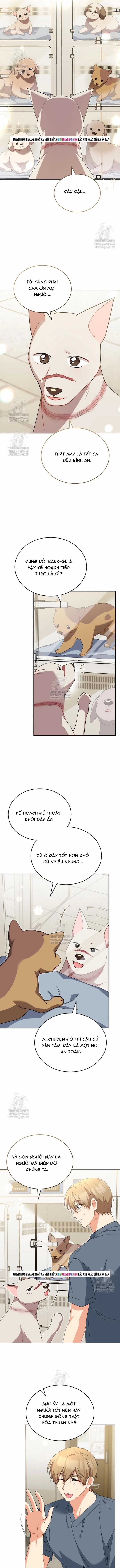 Xin Chào! Bác Sĩ Thú Y - Chapter 119 - Trang 6