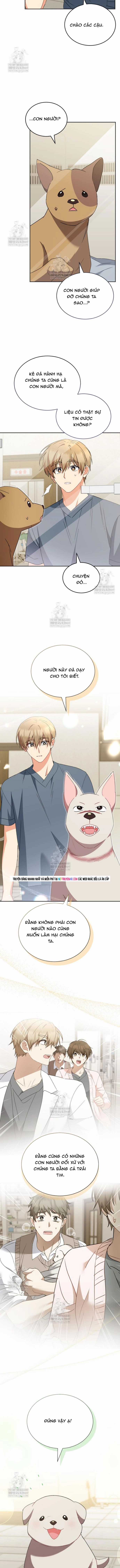 Xin Chào! Bác Sĩ Thú Y - Chapter 119 - Trang 7