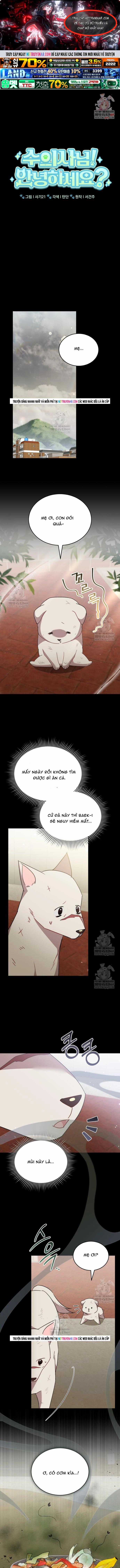 Xin Chào! Bác Sĩ Thú Y - Chapter 120 - Trang 1