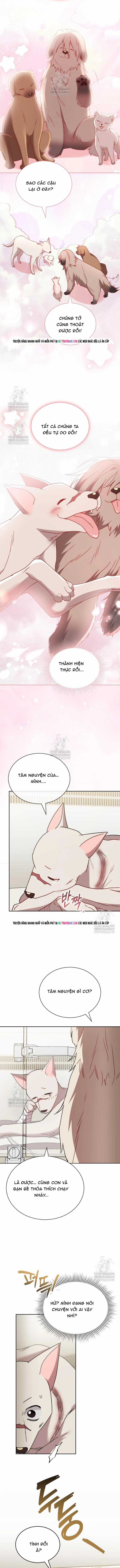 Xin Chào! Bác Sĩ Thú Y - Chapter 120 - Trang 11