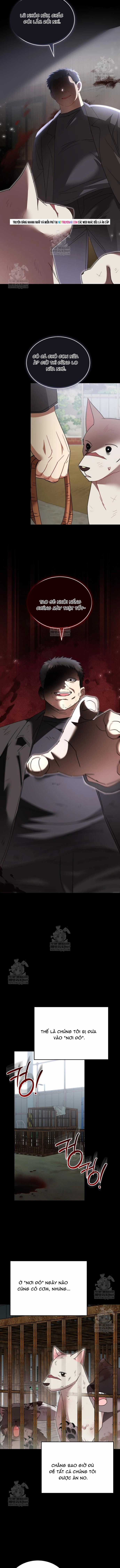 Xin Chào! Bác Sĩ Thú Y - Chapter 120 - Trang 3