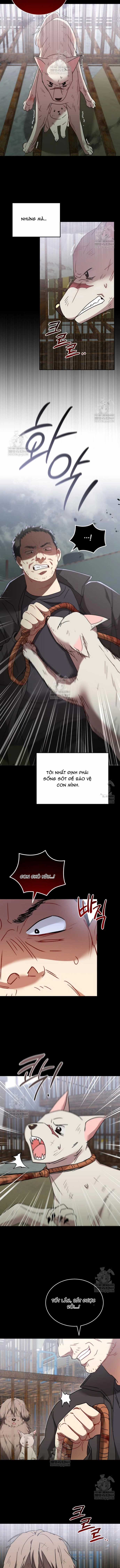 Xin Chào! Bác Sĩ Thú Y - Chapter 120 - Trang 6