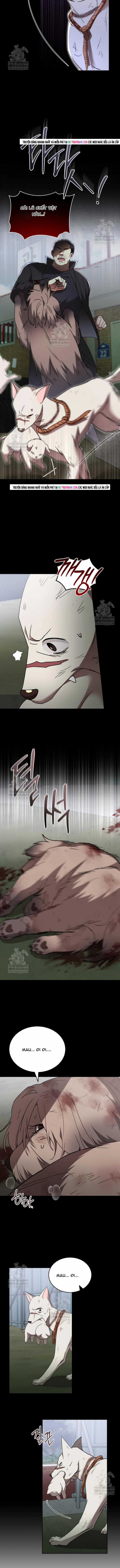 Xin Chào! Bác Sĩ Thú Y - Chapter 120 - Trang 8