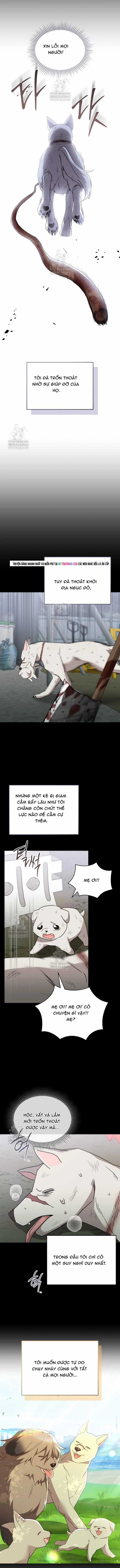 Xin Chào! Bác Sĩ Thú Y - Chapter 120 - Trang 9