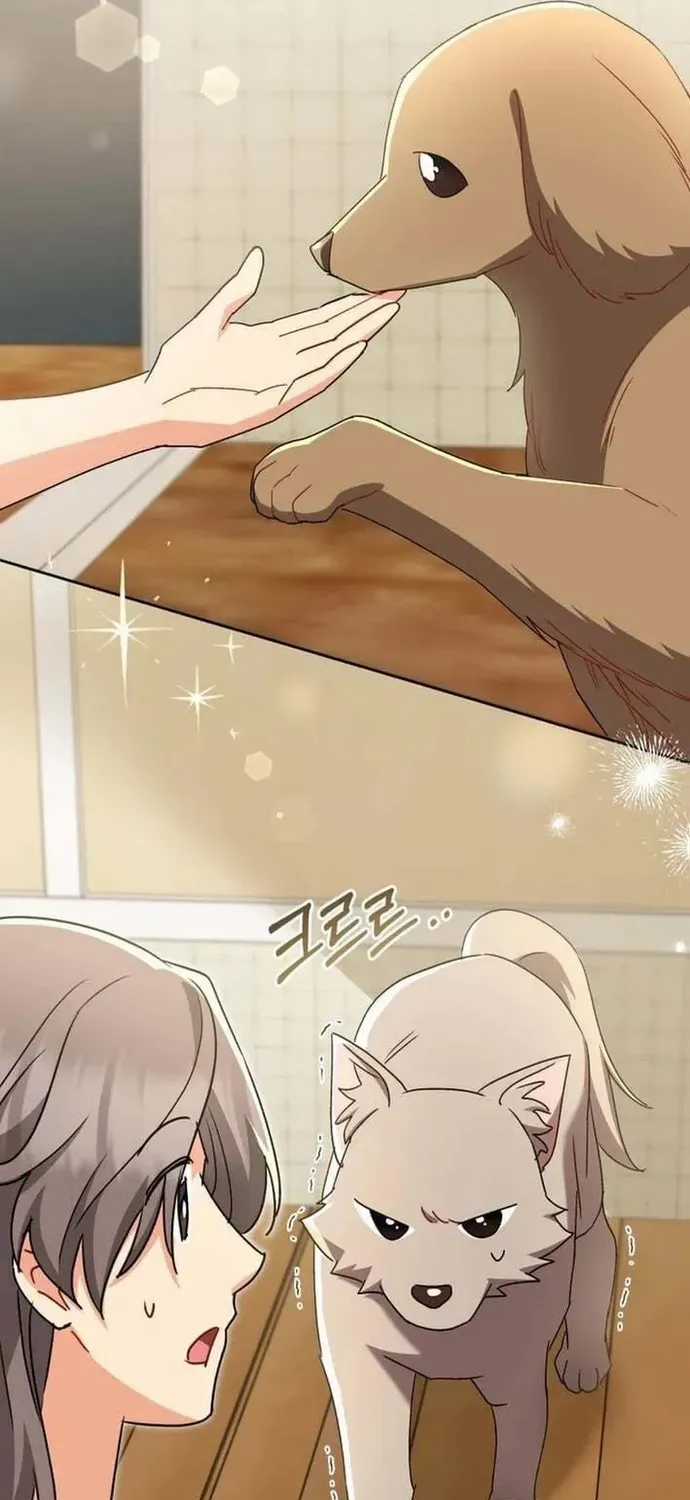 Xin Chào! Bác Sĩ Thú Y - Chapter 121 - Trang 26