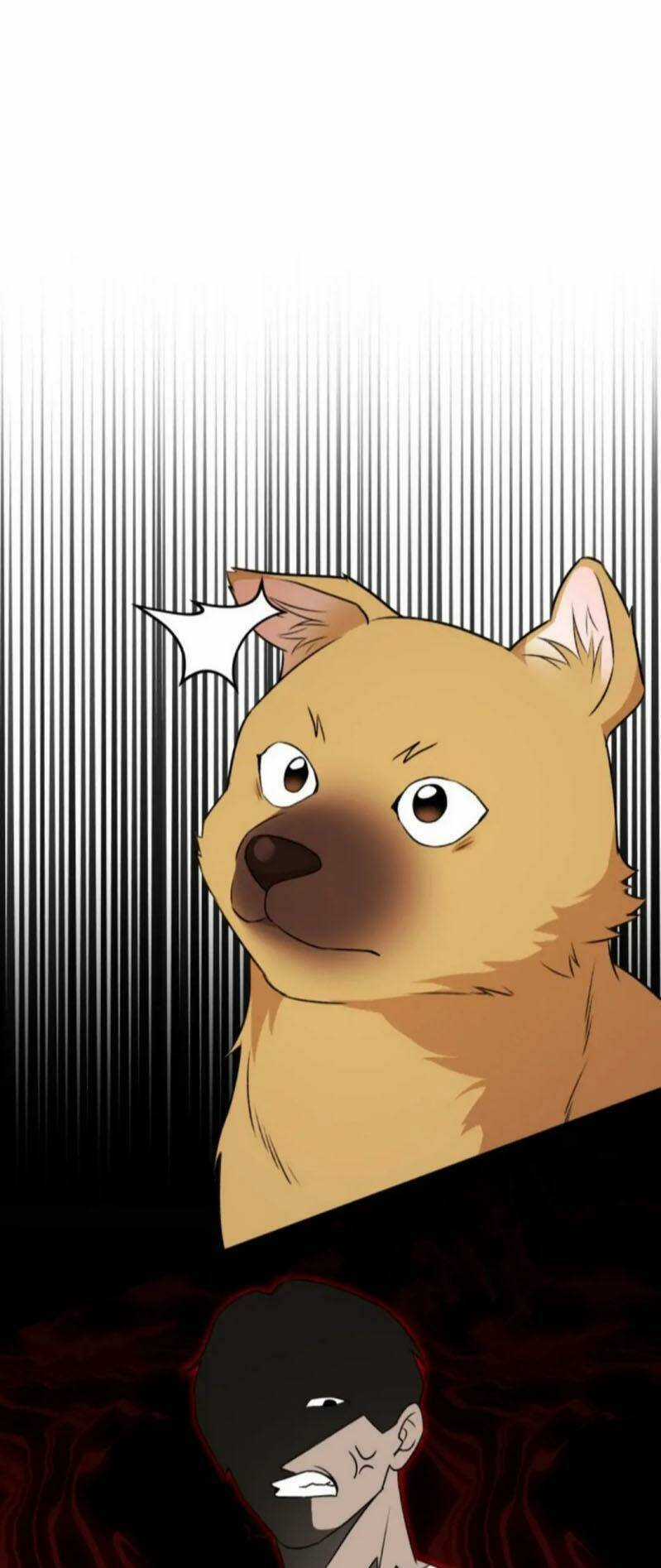 Xin Chào! Bác Sĩ Thú Y - Chapter 20 - Trang 33